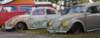 img_20240609_083934bmedium_small.jpg
