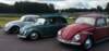 img_20240609_085658bmedium_small.jpg